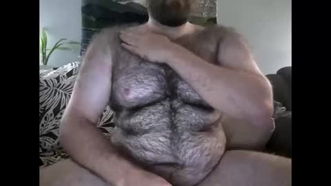 Hairiest Bear online show from September 2025 05:45:02 AM