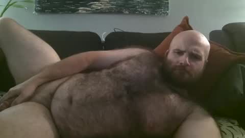 Hairiest Bear online show from October 2025 03:58:01 AM