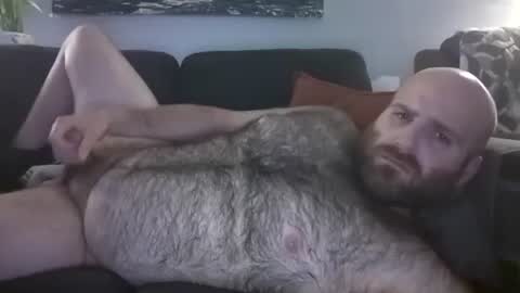 Hairiest Bear online show from May 2026 03:48:01 AM