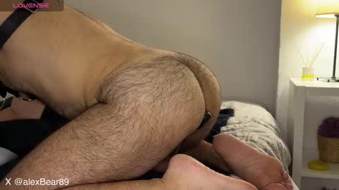 Snapshot of hairyarabbear chatting on September 2025 09:48:02 PM hairyarabbear online show from September 2025 09:48:02 PM