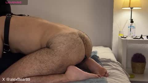 Snapshot of hairyarabbear chatting on September 2025 11:59:01 PM hairyarabbear online show from September 2025 11:59:01 PM