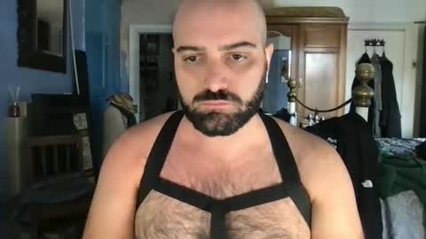 Hairy Guy online show from September 2025 12:10:02 PM