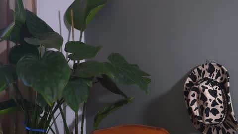 HairyRobXxX online show from September 2025 10:05:01 AM