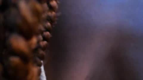 Halley Lorens online show from November 2025 07:15:01 PM