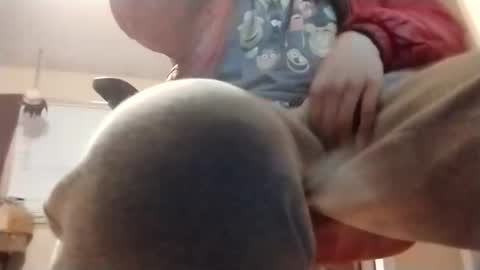 halo3489 online show from March 2026 09:49:02 AM