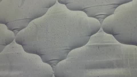 hamhead71 online show from April 2026 08:10:01 AM