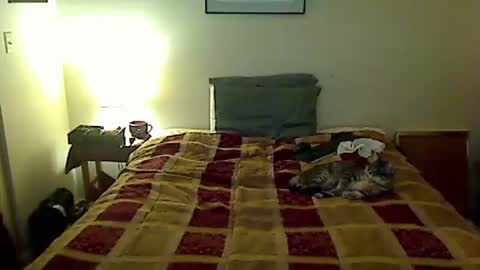 hammerthatthang73 online show from April 2026 05:06:01 AM