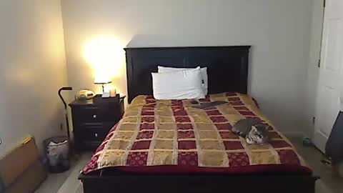 hammerthatthang73 online show from April 2026 09:42:02 PM