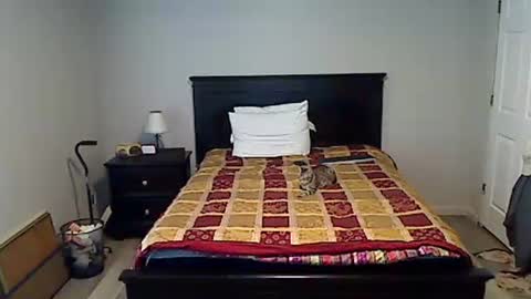 hammerthatthang73 online show from April 2026 10:54:02 PM