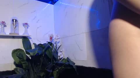 hana_soojin online show from February 2026 04:16:02 PM