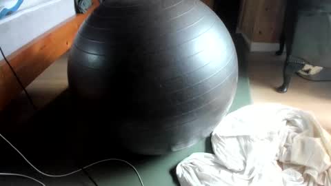 handncocknocum online show from February 2025 02:37:01 PM