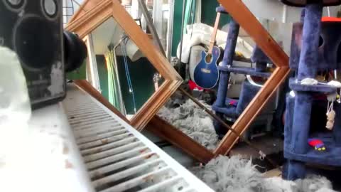 handncocknocum online show from February 2025 07:15:02 AM