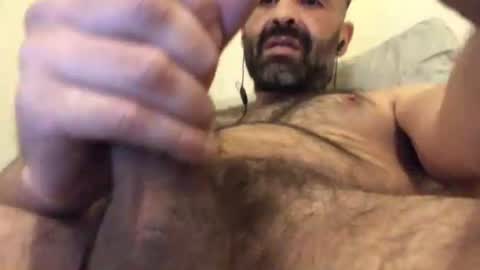Snapshot of handsomepenis20cm chatting on August 2026 09:39:02 PM handsomepenis20cm online show from August 2026 09:39:02 PM