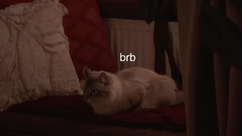 Snapshot of hannasthesia chatting on February 2026 06:40:02 AM Hanna online show from February 2026 06:40:02 AM