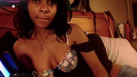 meatwad online show from February 2025 02:31:02 PM