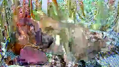 happysonia online show from March 2026 08:06:01 AM