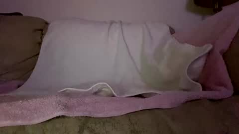 Slim West Cox online show from February 2026 06:51:01 AM