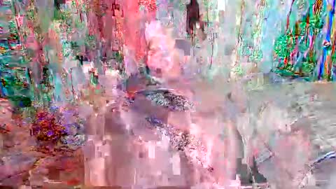 hardcore11inches online show from December 2024 03:59:02 AM