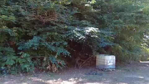 hardworkertn online show from September 2025 06:33:02 PM