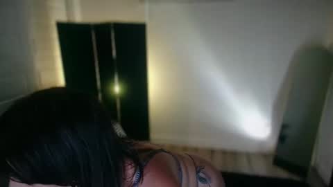 Snapshot of harleydson chatting on June 2026 03:29:02 AM Harley Dawson online show from June 2026 03:29:02 AM