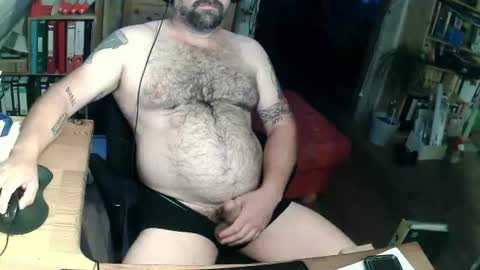Snapshot of harleywerner chatting on July 2026 06:24:02 PM harleywerner online show from July 2026 06:24:02 PM