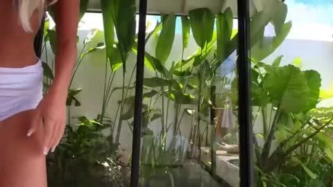 Harley online show from March 2026 04:07:02 AM