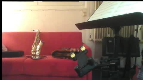 Snapshot of hartwichser1 chatting on February 2025 12:04:01 AM hot n nasty online show from February 2025 12:04:01 AM