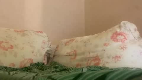 Snapshot of hattydee chatting on January 2025 04:09:01 AM dee online show from January 2025 04:09:01 AM