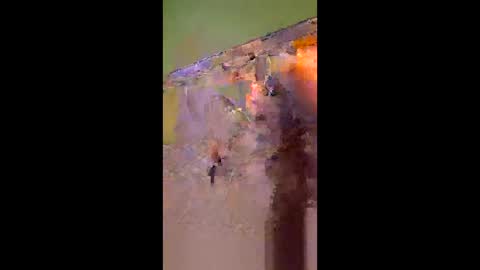 hawks2113 online show from April 2026 09:40:01 AM