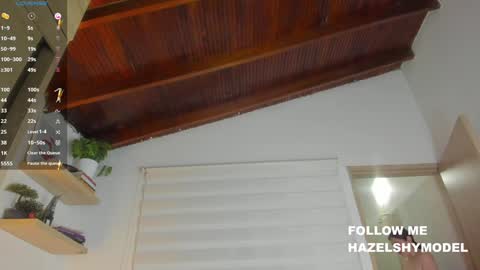 Snapshot of hazel_shy chatting on December 2024 09:33:01 PM Im Hazel online show from December 2024 09:33:01 PM