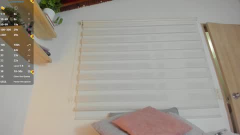 Snapshot of hazel_shy chatting on December 2024 10:34:02 PM Im Hazel online show from December 2024 10:34:02 PM