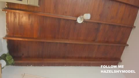 Snapshot of hazel_shy chatting on February 2025 01:55:02 AM Im Hazel online show from February 2025 01:55:02 AM