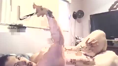 hazelbasil32728 online show from October 2025 07:25:01 PM