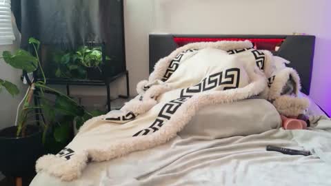 Hazeleo online show from March 2026 10:00:02 PM