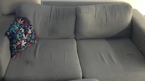 memoric online show from February 2026 11:48:01 AM