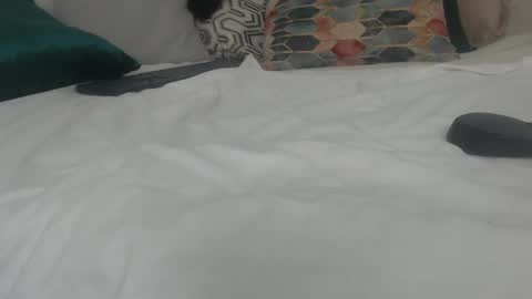 Snapshot of heidy_hoiss chatting on January 2025 05:56:01 AM Heidy online show from January 2025 05:56:01 AM