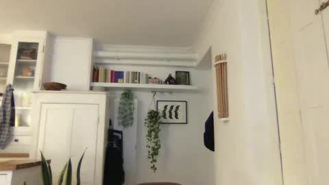 Snapshot of hellolucas69 chatting on January 2025 05:42:02 PM Lucas online show from January 2025 05:42:02 PM