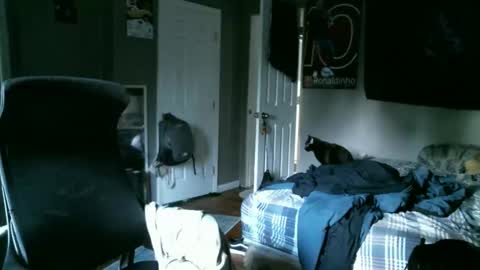 longhairbeardedguy online show from April 2026 11:48:02 AM