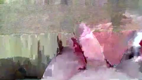 hera44 online show from April 2026 05:50:01 PM