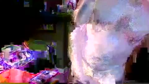 herb60657 online show from November 2025 01:54:02 PM