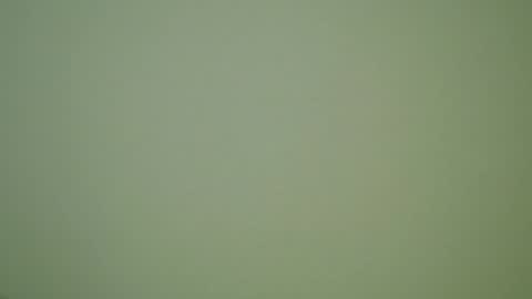 John Pearl online show from December 2024 10:01:01 PM