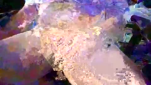 herletigre12345 online show from October 2025 02:39:02 AM