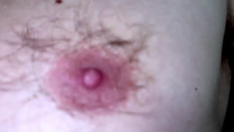 Snapshot of hey_arnold chatting on December 2024 09:22:01 PM Arnold online show from December 2024 09:22:01 PM