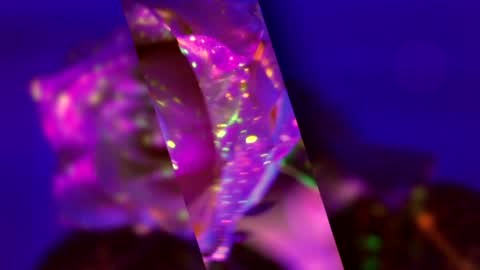 Alina online show from March 2026 05:08:01 PM