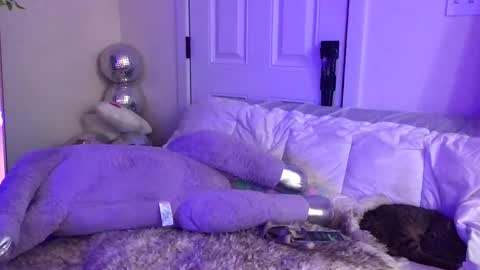 FlexieFae online show from February 2025 01:22:01 AM