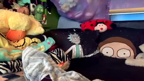 HiGHNESS CANNA online show from March 2026 04:40:01 AM