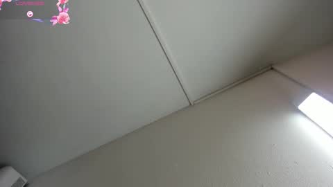 Hilary Thomsom online show from March 2026 12:11:01 PM