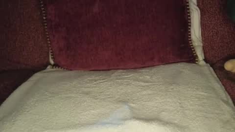 Grace online show from February 2026 08:35:02 AM