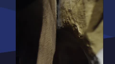 hobbypirat online show from January 2025 08:00:02 AM