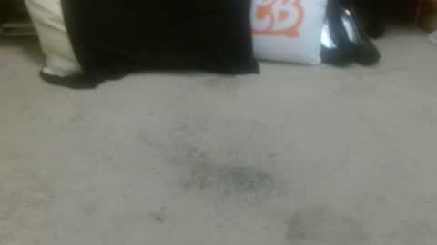 Holly Hawkes online show from February 2026 02:53:01 AM